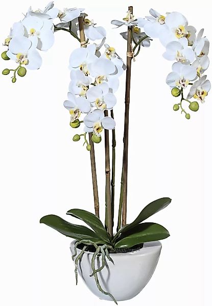 Creativ green Kunstpflanze "Mini Orchidee" günstig online kaufen