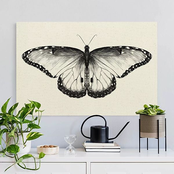 Leinwandbild auf Canvas Natural Illustration fliegender Blauer Morpho Schwa günstig online kaufen