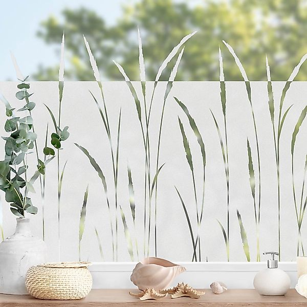 Bilderdepot24 Fensterfolie statisch haftend Motiv Fensterdeko günstig online kaufen