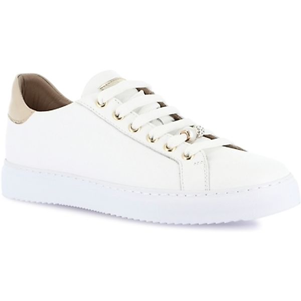 Grunland  Sneaker DSG-SC2161 günstig online kaufen