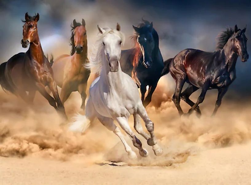 Papermoon Fototapete »Horse Herd in Gallop« günstig online kaufen