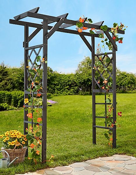 promadino Rosenbogen Pergola Ben, BxTxH: 200x65x208 günstig online kaufen