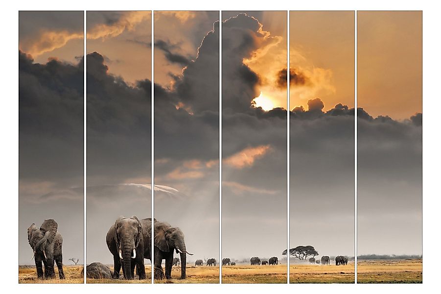 Bilderdepot24 Schiebegardine modern Flächenvorhang blickdicht Elefanten günstig online kaufen