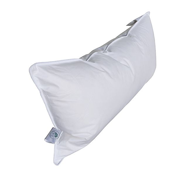 Betten Hofmann Kopfkissen Hofmann Franken kuschelweiches günstig online kaufen