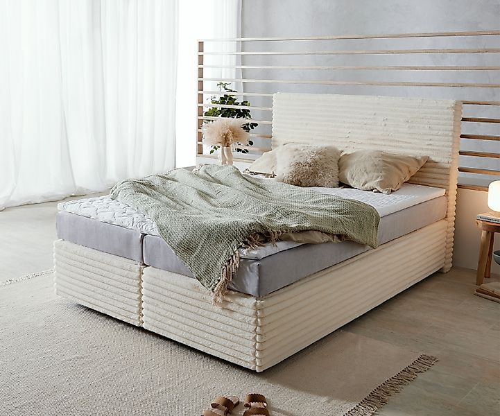 DELIFE Boxspringbett Dream-Well, Bouclé Creme-Weiß 140x200 cm mit Taschenfe günstig online kaufen