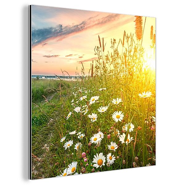 MuchoWow Metallbild Blumen - Gänseblümchen - günstig online kaufen