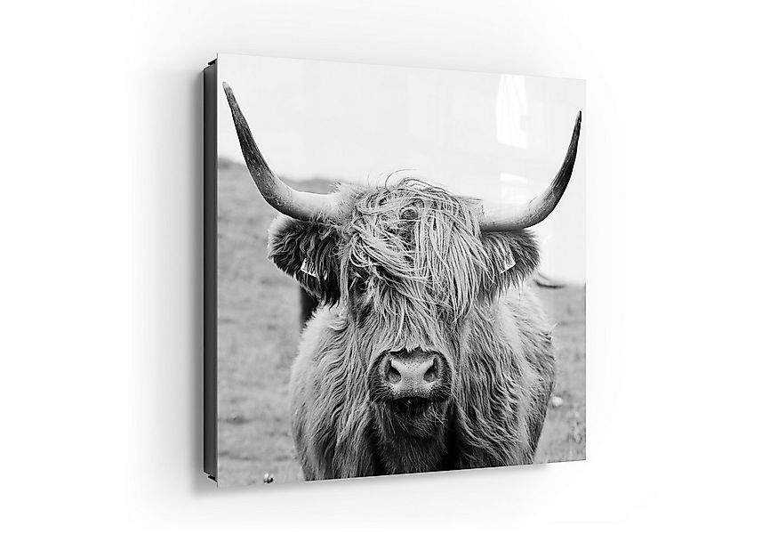 DEQORI Schlüsselkasten 'Zotteliges Hochlandrind', Glas Schlüsselbox modern günstig online kaufen