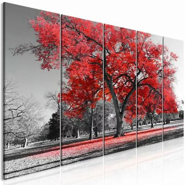 artgeist Wandbild Autumn in the Park (5 Parts) Narrow Red rot-kombi Gr. 200 günstig online kaufen