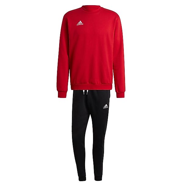 adidas Performance Trainingsanzug adidas Herren Sweatanzug günstig online kaufen