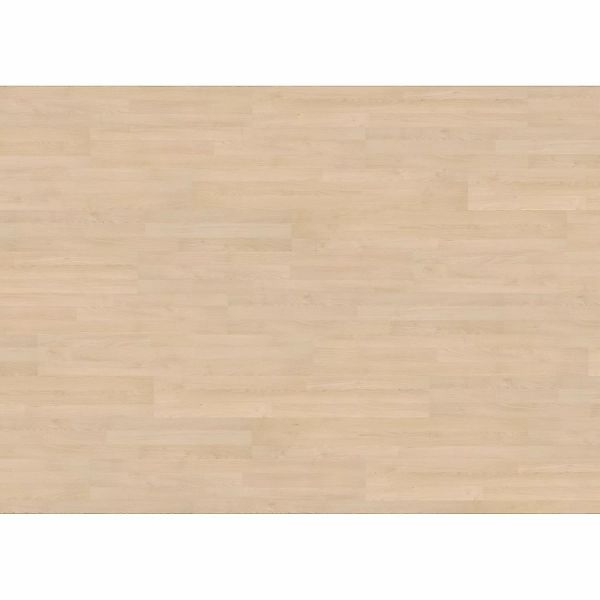 Living by Haro Laminat 7 mm Ahorn günstig online kaufen