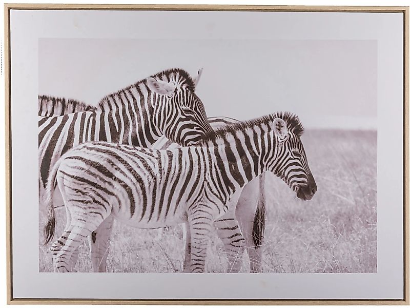 Creativ home Bild mit Rahmen "Zebra", (1 St.), mit schwarz-weißem Motiv günstig online kaufen