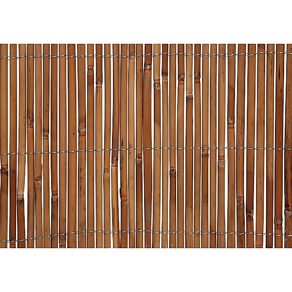 Floraworld Sichtschutz Premium Schilfrohr Gehärtet 150 cm x 300 cm günstig online kaufen