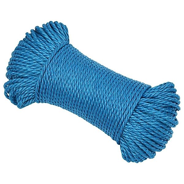 vidaXL Arbeitsseil Blau 6 mm 25 günstig online kaufen