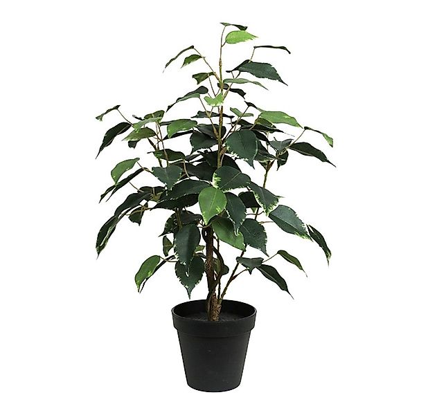 Kunstpflanze Ficus Benjamini im Topf LA günstig online kaufen