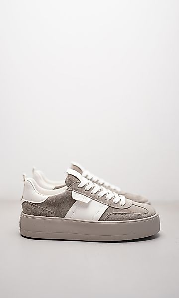 BANG günstig online kaufen