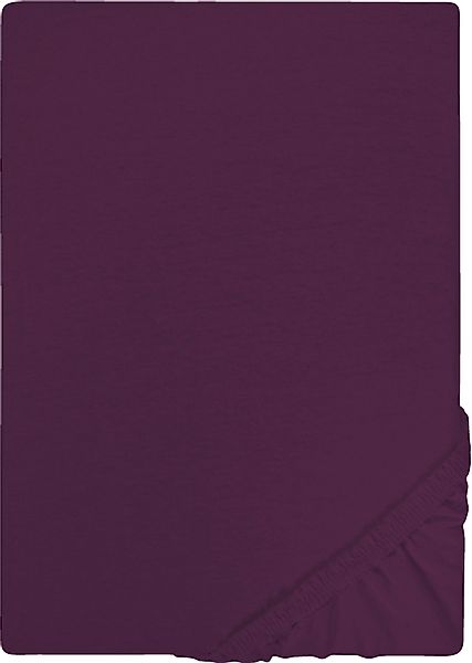Castell - Markenbettwäsche Spannbettlaken Jersey in günstig online kaufen