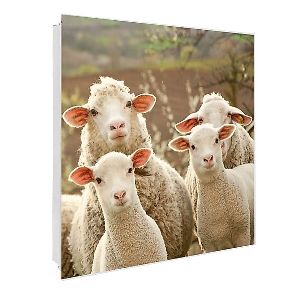 Banjado Großer Schlüsselkasten Glas 30x30cm Weiß Scharnier Rechts 50 Haken günstig online kaufen