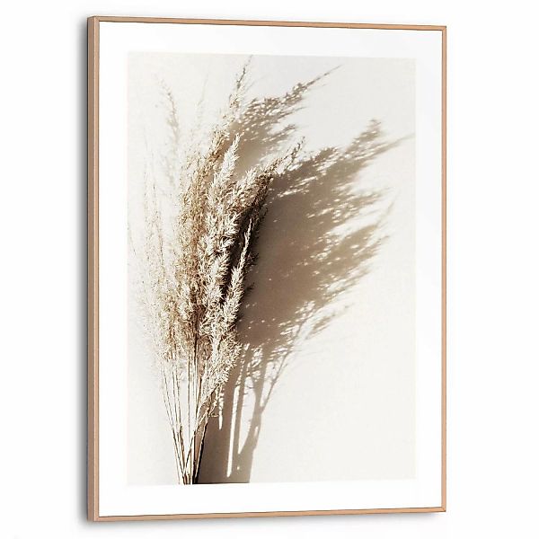 Reinders Poster "Sonniges Gras" günstig online kaufen