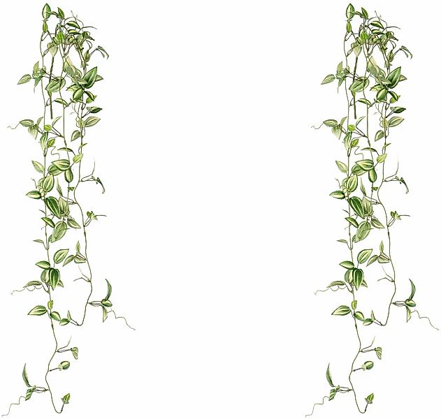 Creativ green Kunstranke "Tradescantia-Hänger" günstig online kaufen