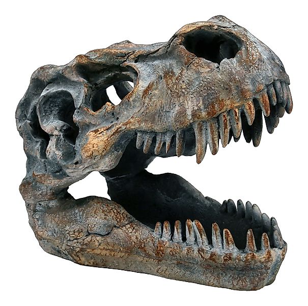 Figuren Shop GmbH Dekofigur Totenkopf - günstig online kaufen