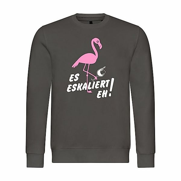 deinshirt Kapuzenpullover Herren Pullover Es eskaliert eh Flamingo Mit Prin günstig online kaufen