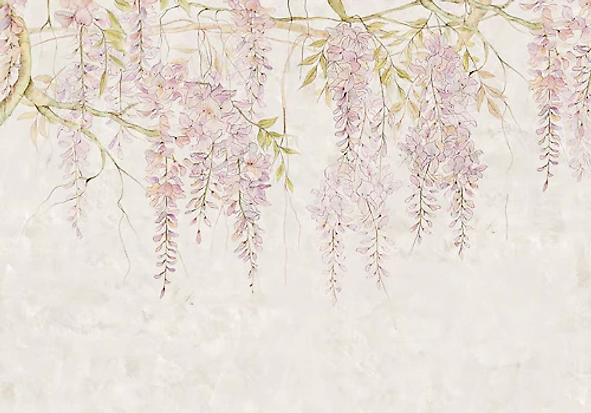 Komar Fototapete Wisteria B/L: ca. 400x280 cm günstig online kaufen