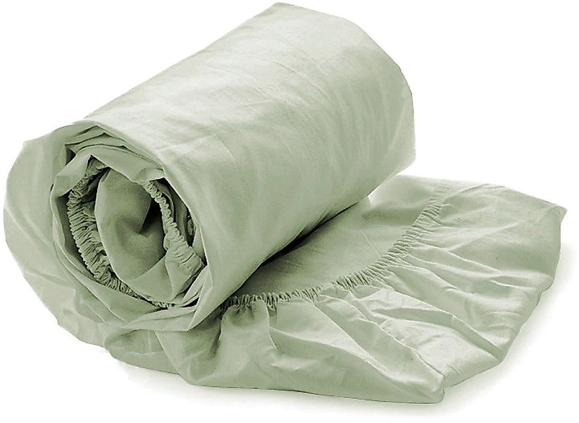 YELLOW Spannbettlaken Percale, Perkal, Gummizug: rundum, günstig online kaufen