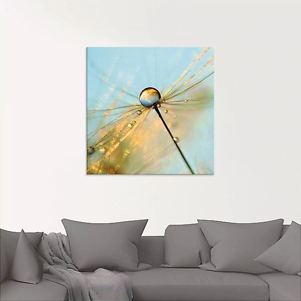 Artland Glasbild "Pusteblume Tautropfen II", Blumen, (1 St.) günstig online kaufen