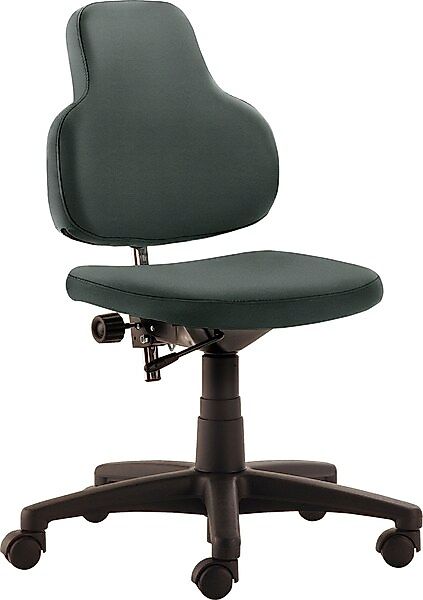 Mayer Sitzmöbel Bürostuhl »Kinderdrehstuhl myONE« () mitwachsend günstig online kaufen