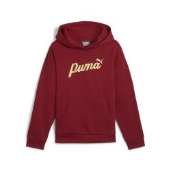 PUMA Kapuzensweatshirt ESS+ SCRIPT METALLIC HOODIE günstig online kaufen