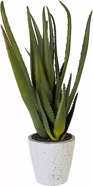 Creativ green Kunstpflanze "Aloe" günstig online kaufen