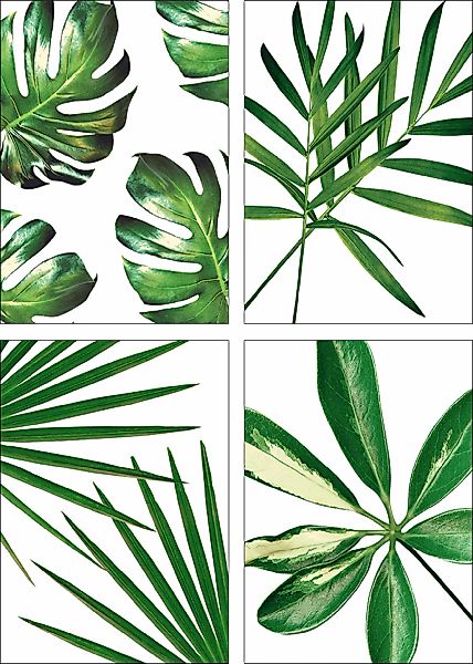 Artland Poster "Blätter" Blätter 4 Stk. tlg. Bilder Set, 4tlg., ohne Rahmen günstig online kaufen