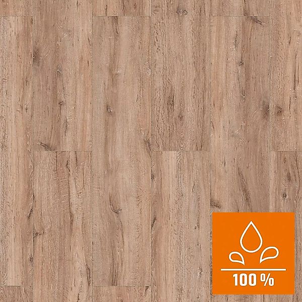 Classen XL Laminat 8 mm Wasserfest Eiche Natur günstig online kaufen