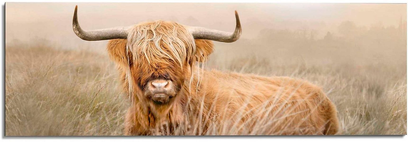 Reinders! Deco-Panel Hochlandrind günstig online kaufen