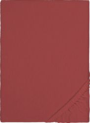 Biberna Spannbettlaken "Biber in Gr. 90x200, 140x200 oder 180x200 cm" aus B günstig online kaufen