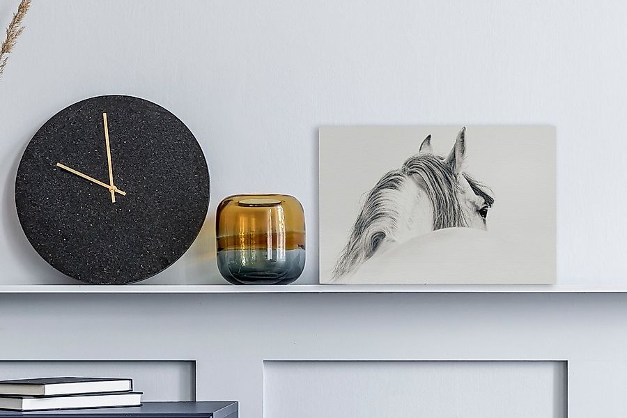 OneMillionCanvasses® Leinwandbild Pferd - Weiß - günstig online kaufen