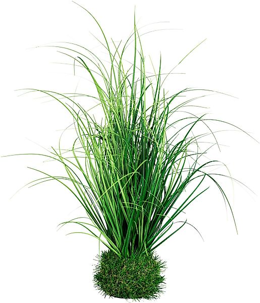 Kunstgras Grasbusch Gras, Creativ green, Höhe günstig online kaufen
