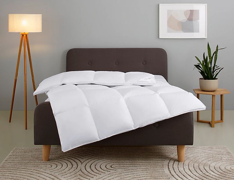 Home affaire Daunenbettdecke "Litrone, Bettdecke 135x200 cm, 155x220 cm, 20 günstig online kaufen