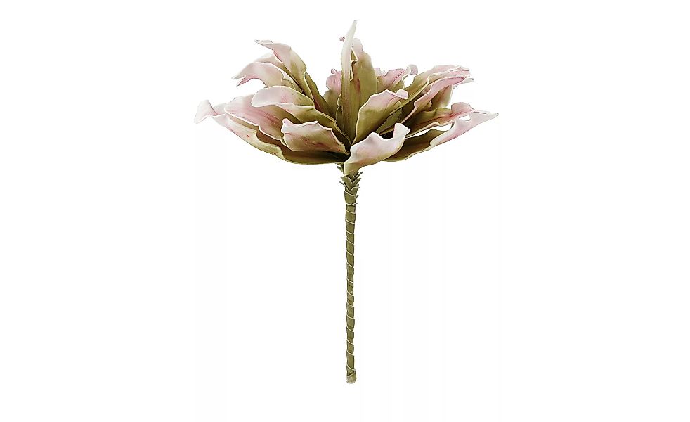 Soft Flower  Protea - rosa/pink - Kunststoff, Metall - 38 cm - Sconto günstig online kaufen