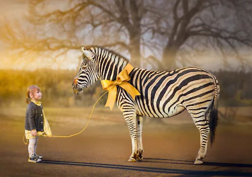 Papermoon Fototapete »Mädchen mit Zebra« günstig online kaufen