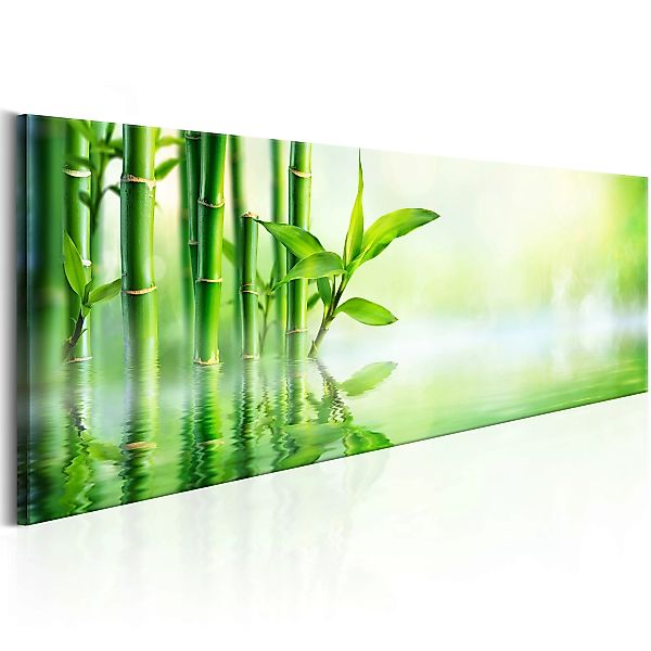 Wandbild - Green Bamboo günstig online kaufen