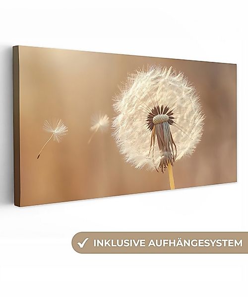 OneMillionCanvasses® Leinwandbild Panorama Löwenzahn - Beige - Natur - Blum günstig online kaufen