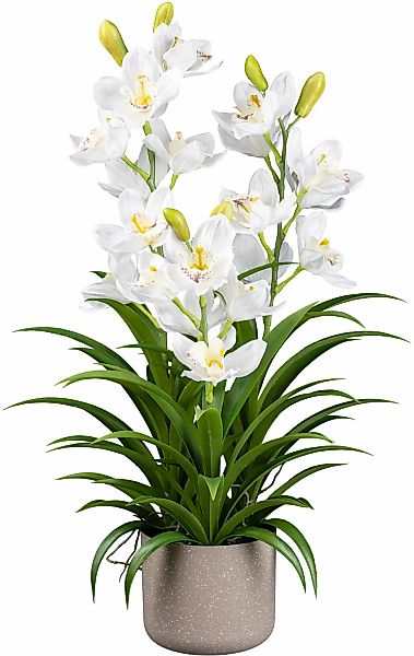 Kunstorchidee Orchidee Cymbidie Orchidee, Creativ green, günstig online kaufen