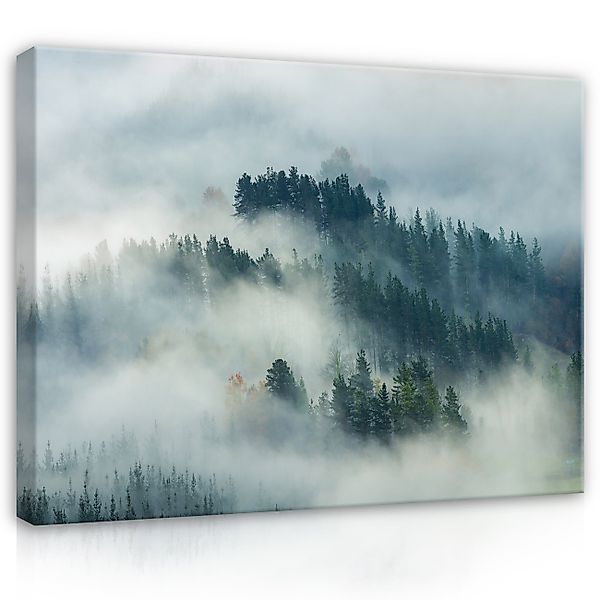 Wallarena Leinwandbild Wald im Nebel Landschaft günstig online kaufen