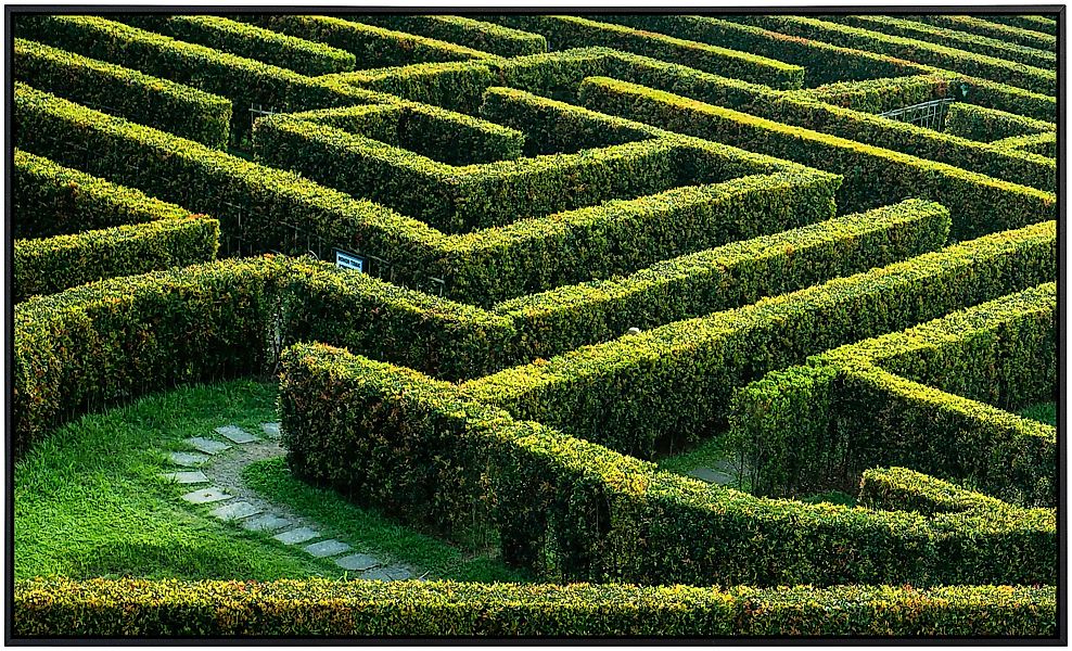 Papermoon Infrarotheizung »Labyrinthgarten«, sehr angenehme Strahlungswärme günstig online kaufen