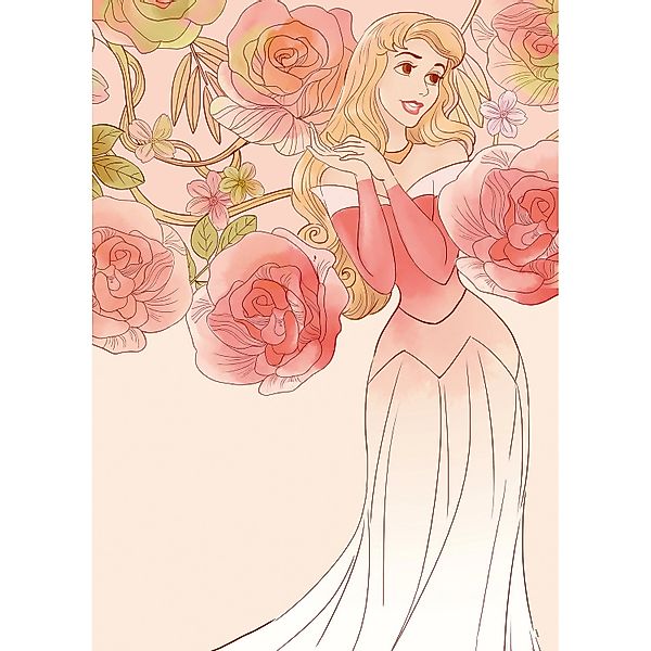 Komar Bild "Sleeping Beauty Roses", Disney, (1 St.), Wandbild zur Dekoratio günstig online kaufen