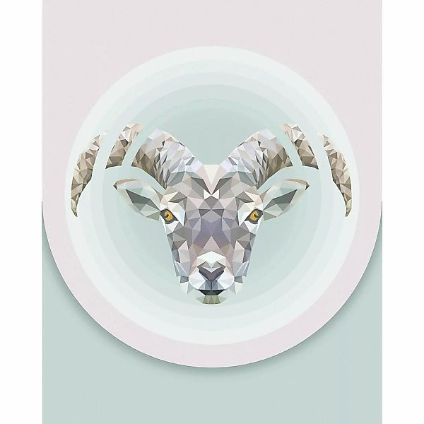 Komar Wandbild Capricorn 40 x 50 cm günstig online kaufen