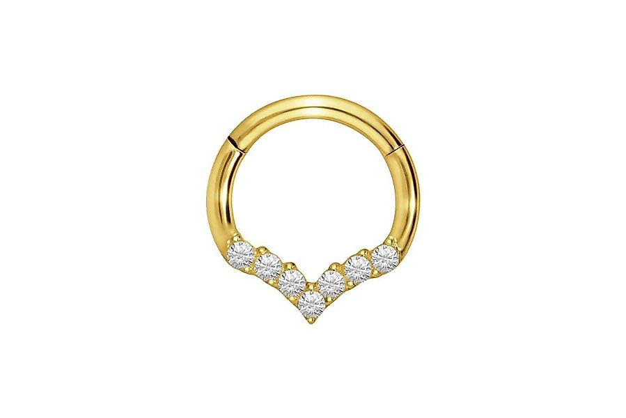 PIERCINGLINE Piercing-Set Titan Segmentring Clicker SPITZ günstig online kaufen