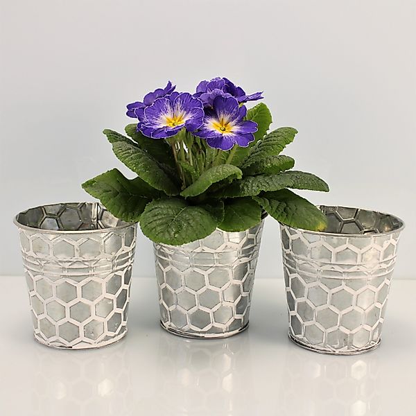 Online-Fuchs Blumentopf Runde silberne Blumentöpfe aus günstig online kaufen
