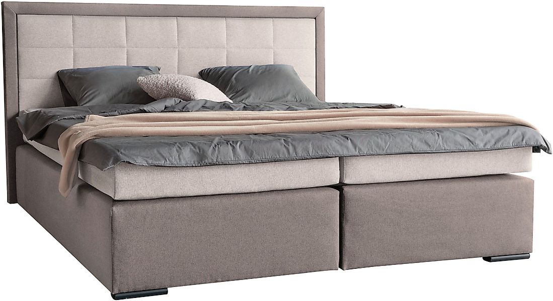 COLLECTION AB Boxspringbett 30 Jahre Jubiläums-Modell günstig online kaufen